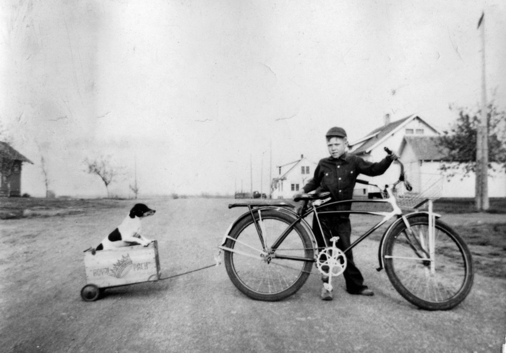 Boy and bike pulling a wagon with a dog