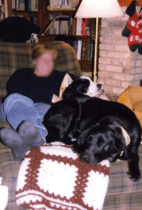 person and 2 dogs in a chair